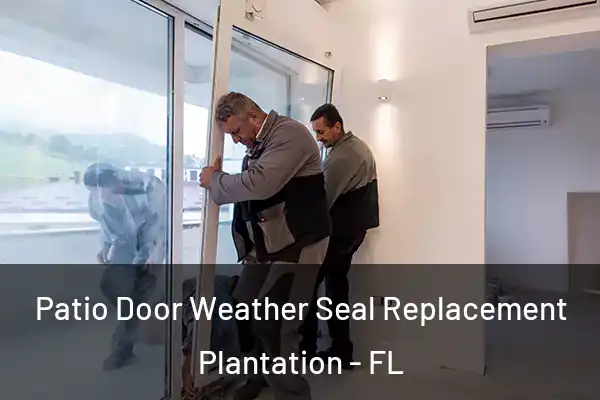 Patio Door Weather Seal Replacement Plantation - FL